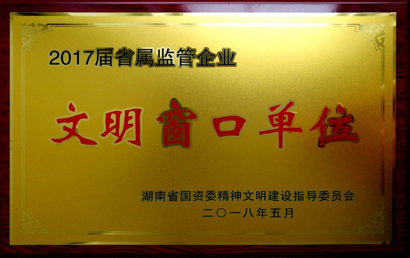 华体会平台-华体会(中国)一站式服务平台
发展集团养老产业有限公司荣获“省属监管企业文明窗口单位”称号