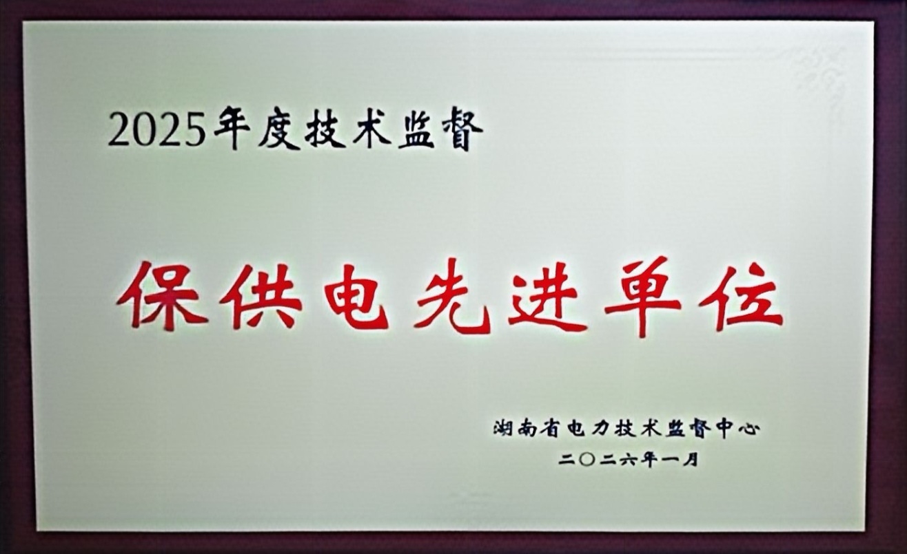 十年深耕保供电 匠心护航获殊荣——蟒塘溪水电站荣获2025年度“保供电先进单位”